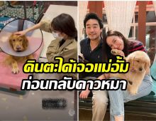 เศร้า! น้องคินตะ สุนัขเเสนรักไฮโซพก ไปวิ่งเล่นบนฟ้าแล้ว