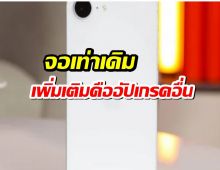 iPhone 17e มาแน่!จอเท่าเดิม เพิ่มเติมคืออัปเกรดอื่น